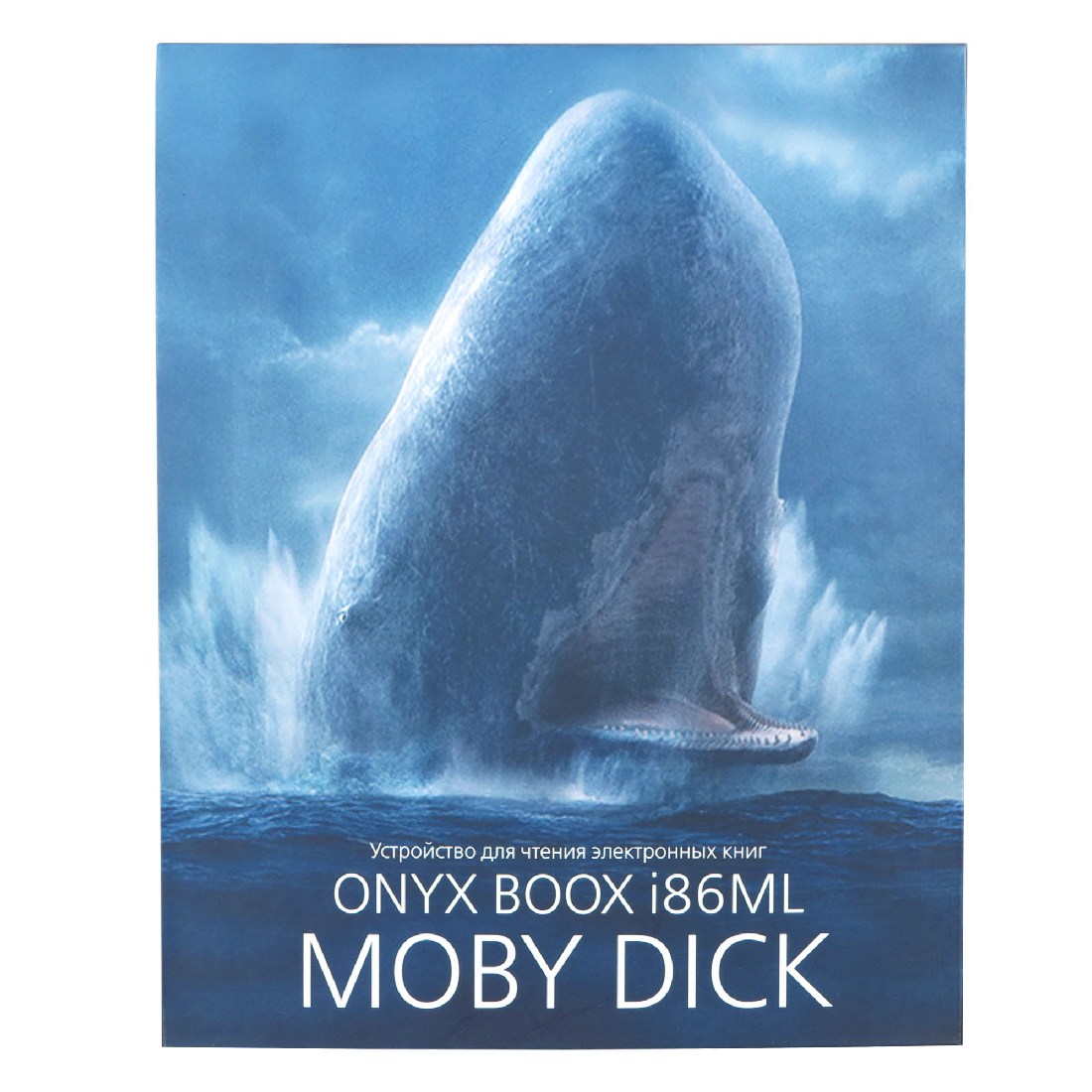 Moby dick stern