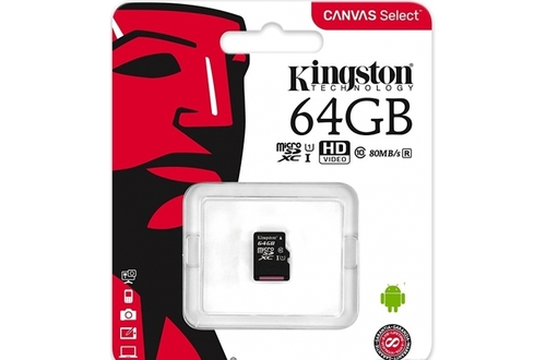 Карта памяти kingston microsdxc canvas go plus 256 гб